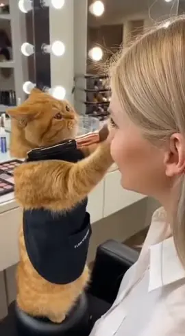 When Your Makeup Artist Is a Fat Orange Cat… and He’s GOOD at It 😭🐾💄 #CatMakeupArtist #RussianGirl #SalonCat #MakeupTok #OrangeCat 