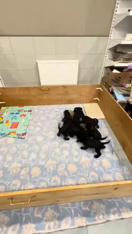 МАМА ❤️ МИЛАЯ МАМА ❤️