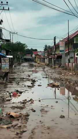 #beritaaceh #samalanga #kotasantri #fyp 