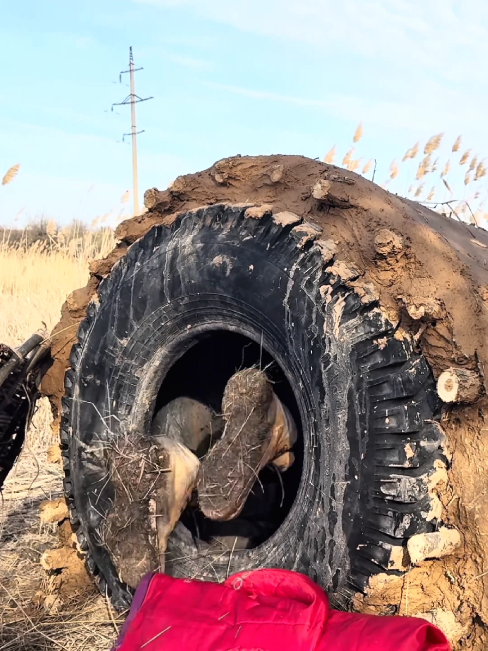 Building a Warm Shelter with Clay and Reeds Survival Skills | Bushcraft survival | USA | United States #bushcraft #survival #camping #wildlife #shelter 