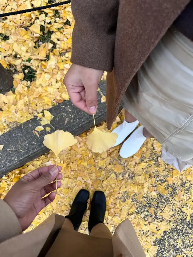 🍂#fyp #meijijingugaien #autumn 