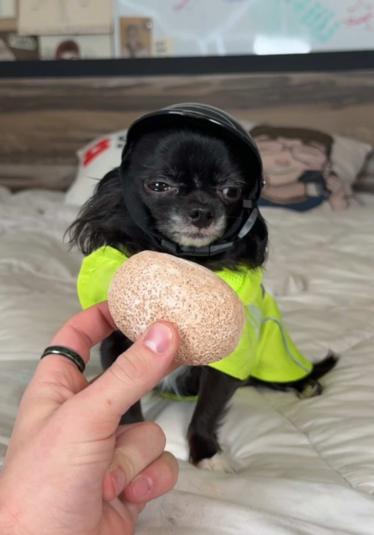 EGG CRACKING PUDDIN 🥚❤️