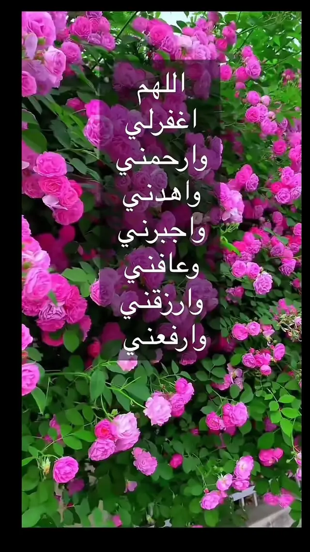 #في هذا اليوم 