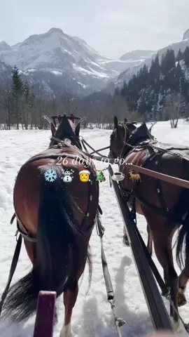 #christmas #christmas2025 #fyp #recommended 