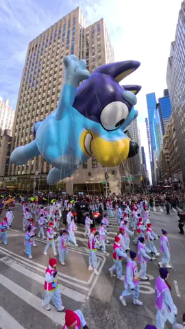 Bluey flying high at the @Macy’s Thanksgiving Day Parade! Here's some of the highlights! #macyparade 