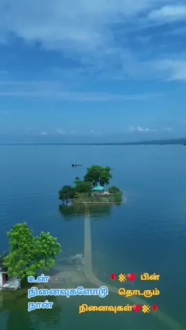 #❤️தேடவைத்தது♥️ யாரோ ♥️𒆜𓊉꧂ #srgceylon