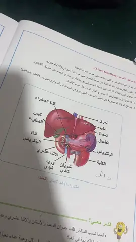 #CapCut #الشعب_الصيني_ماله_حل😂😂 #طالب-ثالث#العراق #ترند 