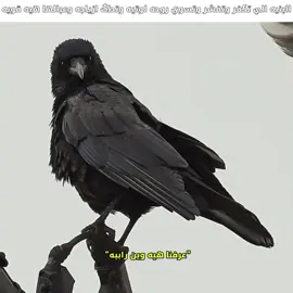 فكرتي😹🙏🏿#كاريزما #شتبوستر_عظيم #شتبوستر_واعي #sheetpost #شيتبوست 