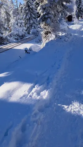 hier noch mal die Harzer Schmalspurbahn zum Brocken vom 22.11.25