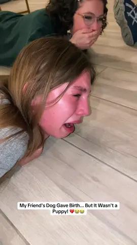 💔😭 #puppylove #dog #dogsoftiktok #pet