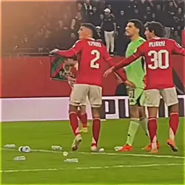 كلاحة لاعيبة الاهلي 😂😂😂  #الاهلي #تريزيجيه #الجيش_الملكي #الزمالك #team_fav🏹🦅 