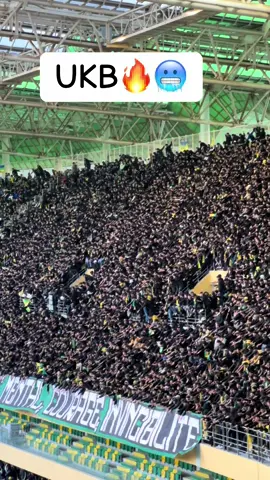 Number one 🤝❤️ #jskabylie💛💚 #ultras #kabylie #dz 