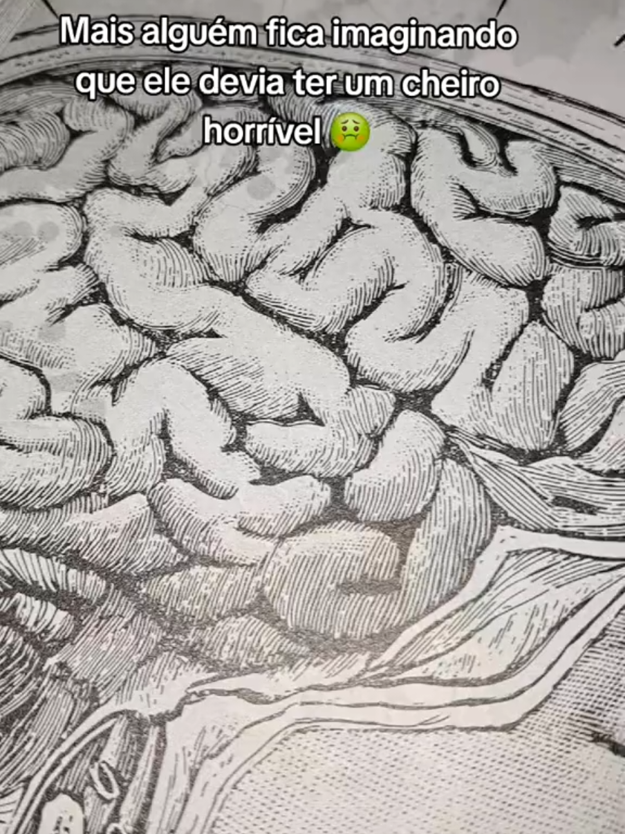 #maryshelley #frankenstein in #booktook #indicacaodelivros #leitores 