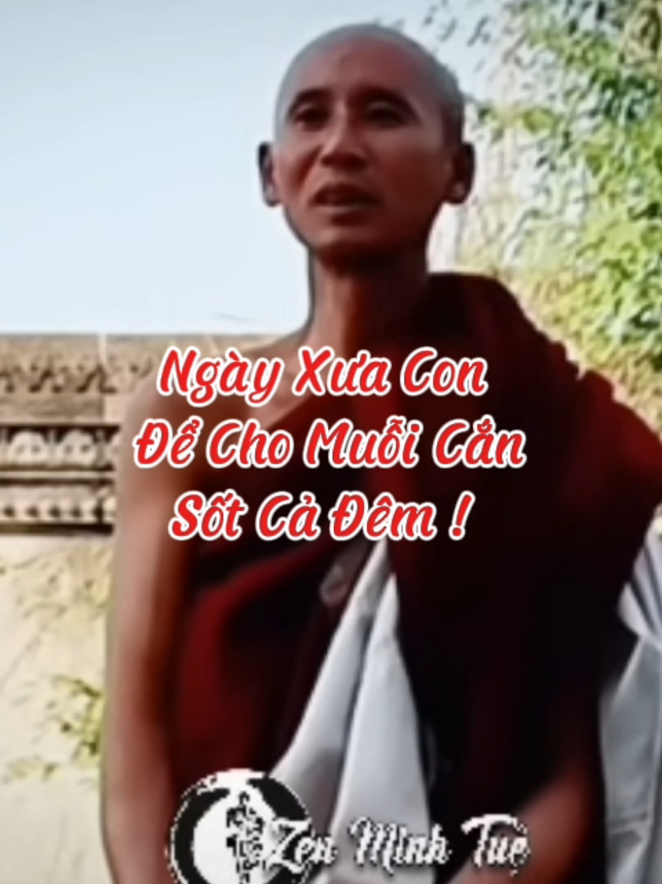 Ngày Xưa Con  Để Cho Muỗi Cắn  Sốt Cả Đêm #loiPhatday #ThichMinhTue #thongdiepcuocsong #nhungcaunoihay #xuhuongtiktok 