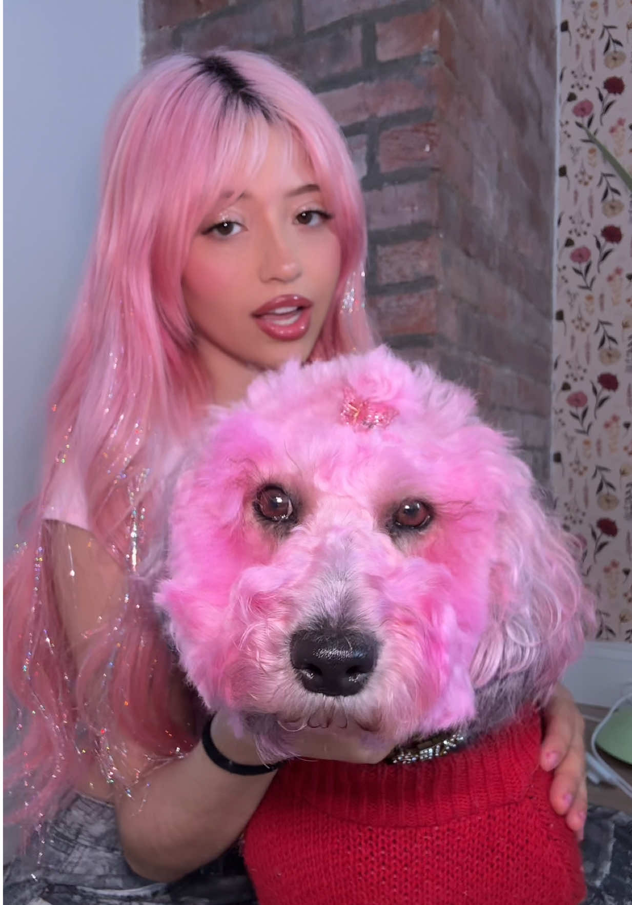 I present to you.. ✨ROXIES NEW LOOK✨ now we are twins 🤭 (DOG HAIR DYE WAS USED‼️) transformation vlog coming soon 🫣