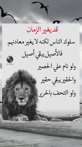 #في هذا اليوم 