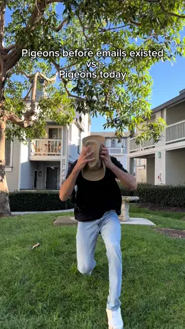 Pigeons before emails existed vs pigeons today. #fyp #humor #joke 