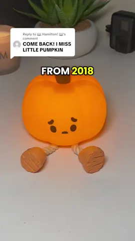 Replying to @📖 Hamilton! 📖 Shluld he make a return?? 🥰🧡 #cute #halloween #pumpkin #nostalgia #viral 