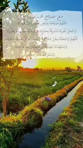 اللَّهُمَّ صَبِّحْنَا بِفَيْضِ نِعْمَتِك وَرَحْمَتِك  وَاجْعَلْ قُلُوبَنَا مُشْرِقَةً بِحَنَانِك ، وَأَيَّامَنَا مَمْلُوءَةً بِخَيْرِك  اَللَّهُمَّ وَاجْعَلْنَا مِمَّنْ دَعَاكَ فَأَجَبْتَهُ، وَتَوَكَّلَ عَلَيْكَ فَكَفَيْتَه وَاسْتَهْدَاكَ فَهَدَيْتَهُ، وَاسْتَجَارَ بِكَ فَأَجَرْتَهُ وَاسْتَرْحَمَكَ فَرَحِمْتَه  #viral #fypシ #fyp #foryou #صباح_الخير 