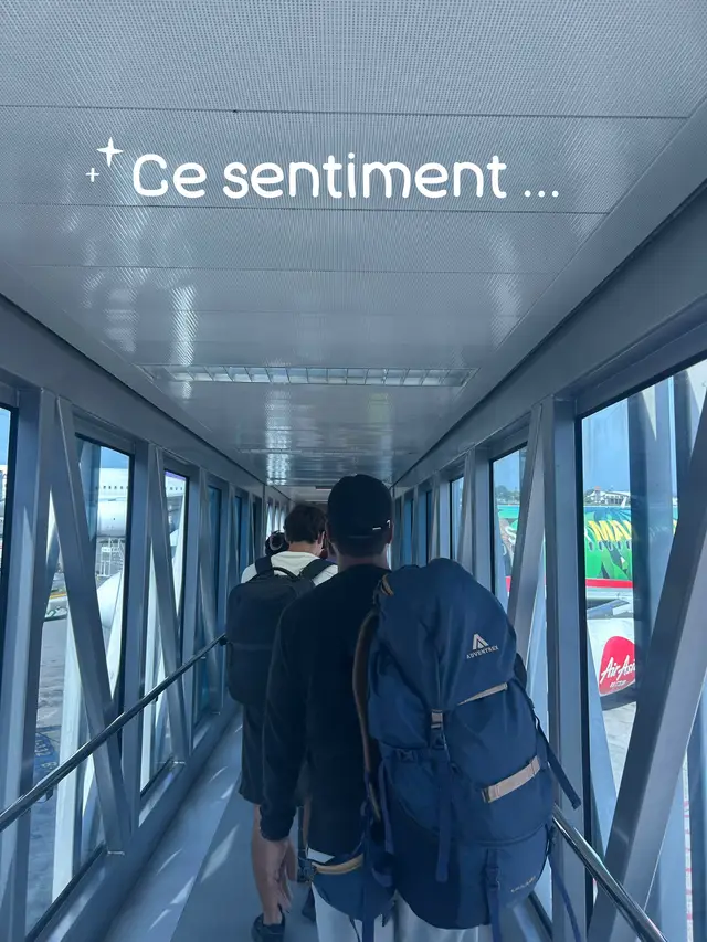 #fyp #viral #flight #airfrance #emirates 