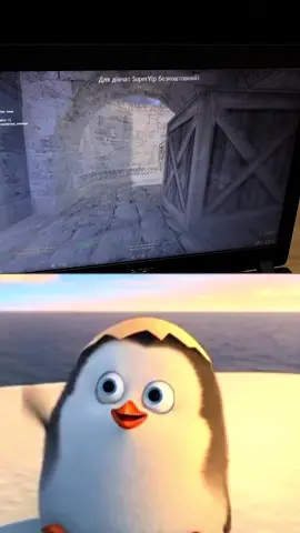 Подпишись☑️, поддержи новочка👉🏻 #cs16 #рекомендации #tiktok #подпишись #like 