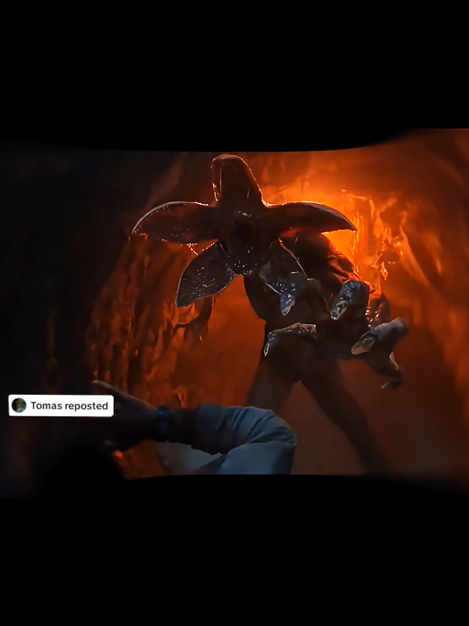 This is a sign twin  . #orbismala #strangerthings #strangerthings5 #memes #bro 