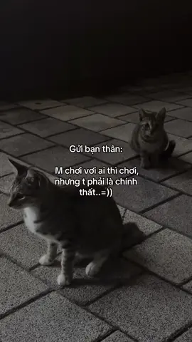 #tinhyeu #friends #happy #xuhuong 