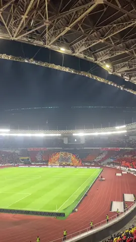 Gk bisa berkata-kata sempurna 🤩  #persija #jakmaniatiktok #psimjogjakarta💙 #persijajakarta #thejakmania 