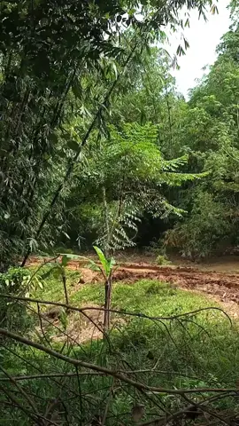 trabaaass#drivermuda #fyp #semangatberjuang #viraltiktok