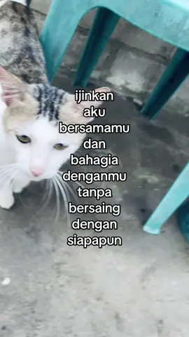 #kata #bucin_story #fyp #beranda #foryoupage 