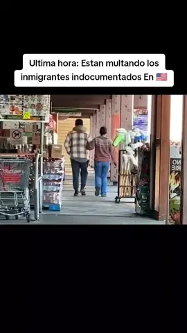 #redadas #news #latinos #inmigracion #multa 