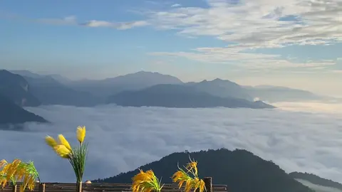 Bảo mây Mường Lát lại không tin #lamsontravel #visitvietnam #thanhhoa #muonglat #viral 