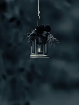 #CapCut #dianastemplate #fypage #quote #fypシ゚ 