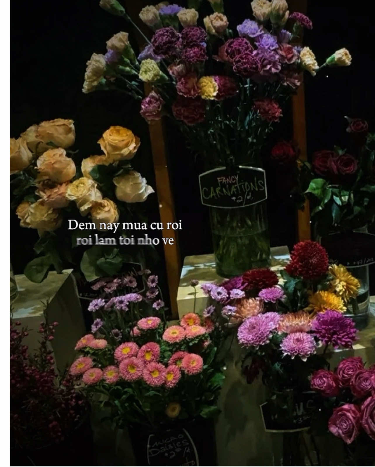 Đêm nay mưa cứ rơi rơi làm tôi nhớ về… #capcut #capcutpioneer #pioneertemplate #nhactamtrang #thuat26th9 