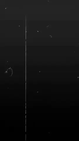 Bagian 37 permisi #masukberandamuu #AMPRESET #foryoupage #creatorsearchinsights #fyp 