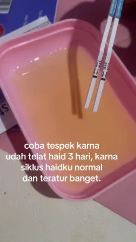 Semoga cepat nenular untuk pejuang garis 2 #masyaallahtabarakkallah #positifhamil #garisdua #CapCut 