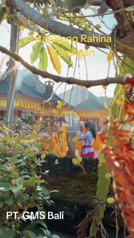 Rahajeng Rahina Kuningan, Semeton 🙏