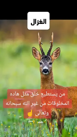 سبحان الله وبحمده
