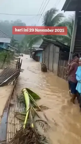 detik detik harimau masuk kampung saat barjir