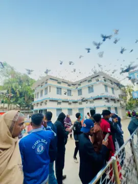 🕊️👀#foryou #tiktok #video #viralvideo #tiktokbangladesh🇧 