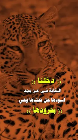 #كسبلور_explor #جبراتت📮١6 #عبارات_الصقرالابي 