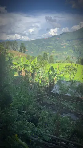 txawm peb txom nyem los peb kuj muaj noj thiab mo me..😢#xuhuongtiktok #xuhuong 