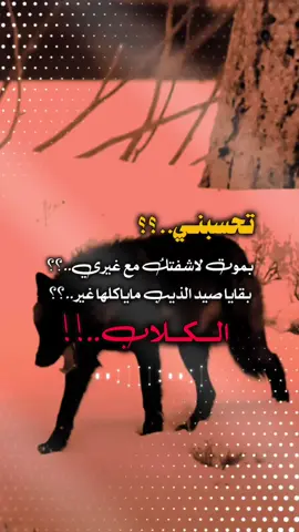 والله 😴✋...!! 