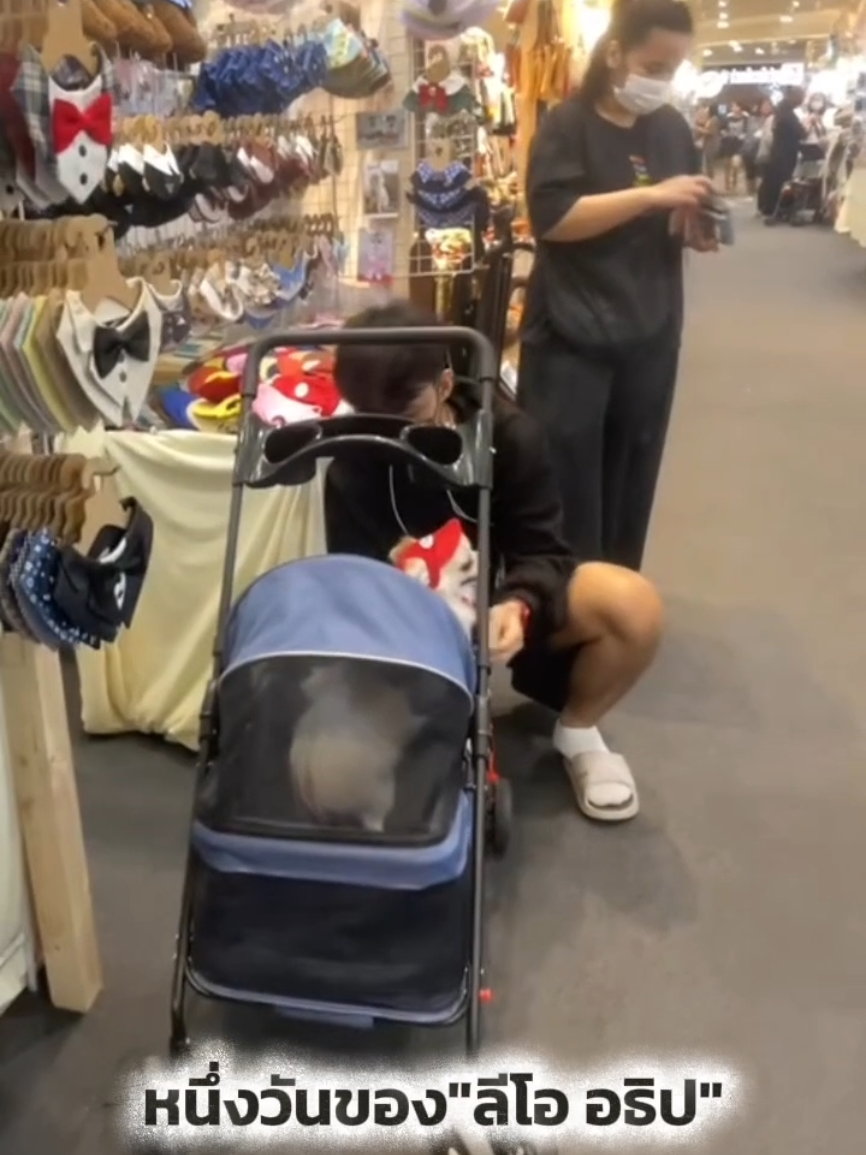 ในหนึ่งวันของ