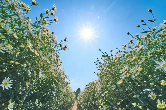 #hottiktok_xuhuong2025 Hết một năm đầy bão táp . Vui có buồn có . Đắng cay cũng có 😌