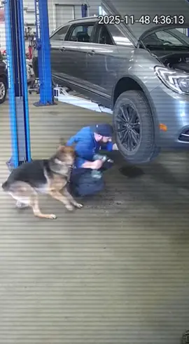 #fyp #foryou #dog #pet #grateful 