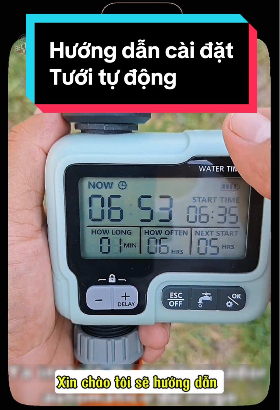 Hướng dẫn cài đặt Bộ tưới Cây Tự Động Hẹn Giờ  Màn Hình #bectuoi #tuoicaphe #bectuoicay #botuoicaytudong #tuoitudong 