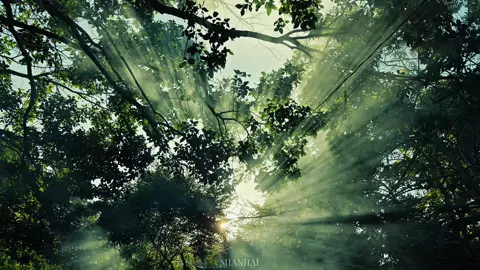 Hãy sống hết mình, tận hưởng cuộc sống một cách trọn vẹn vì bạn chỉ có thể sống duy nhất 1 lần mà thôi. #thiennhien #chualanh #thugian #phongcanh #fyp 