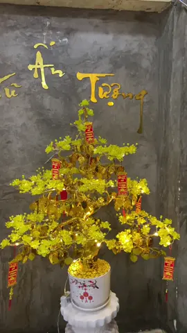 Cây cao cả chậu 80cm #têtyeuthuong #têtsumvầy #câybonsaimini #hoasen #hoahong 