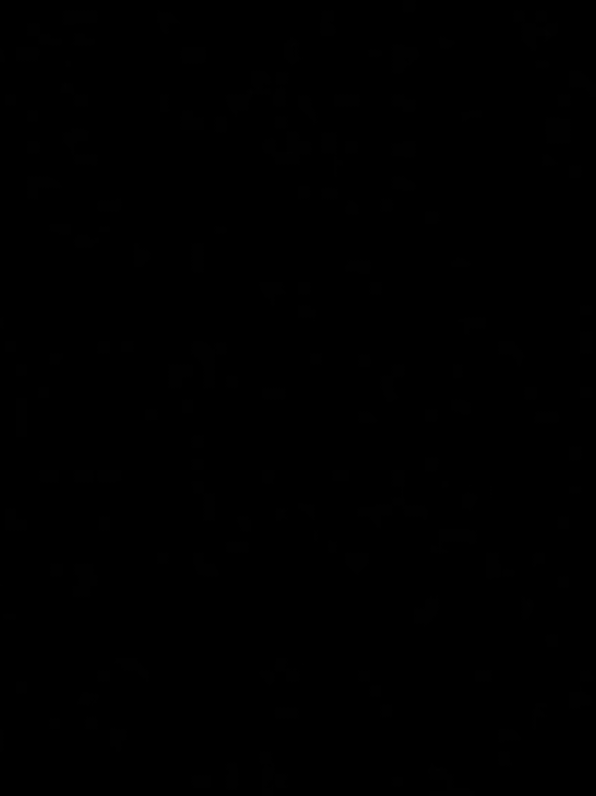 De quem será o tetracampeão brasileiro? #flamengo #palmeiras #libertadores2025 #limaperu🇵🇪 #final 